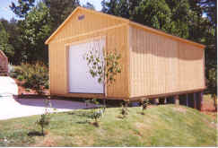 Pinewood Model