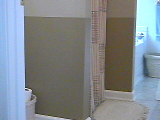 Dado painting on bath room walls
