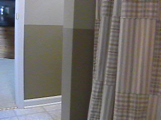 Dado painting on bath room walls